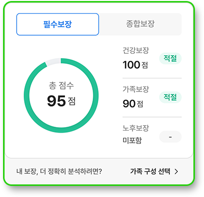 내 보장 분석 점수